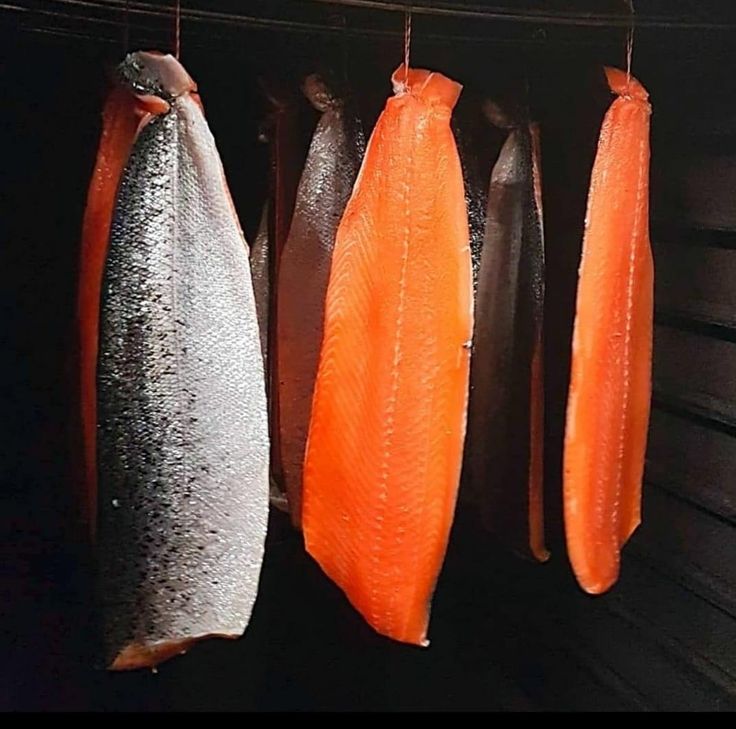 Raw Salmon