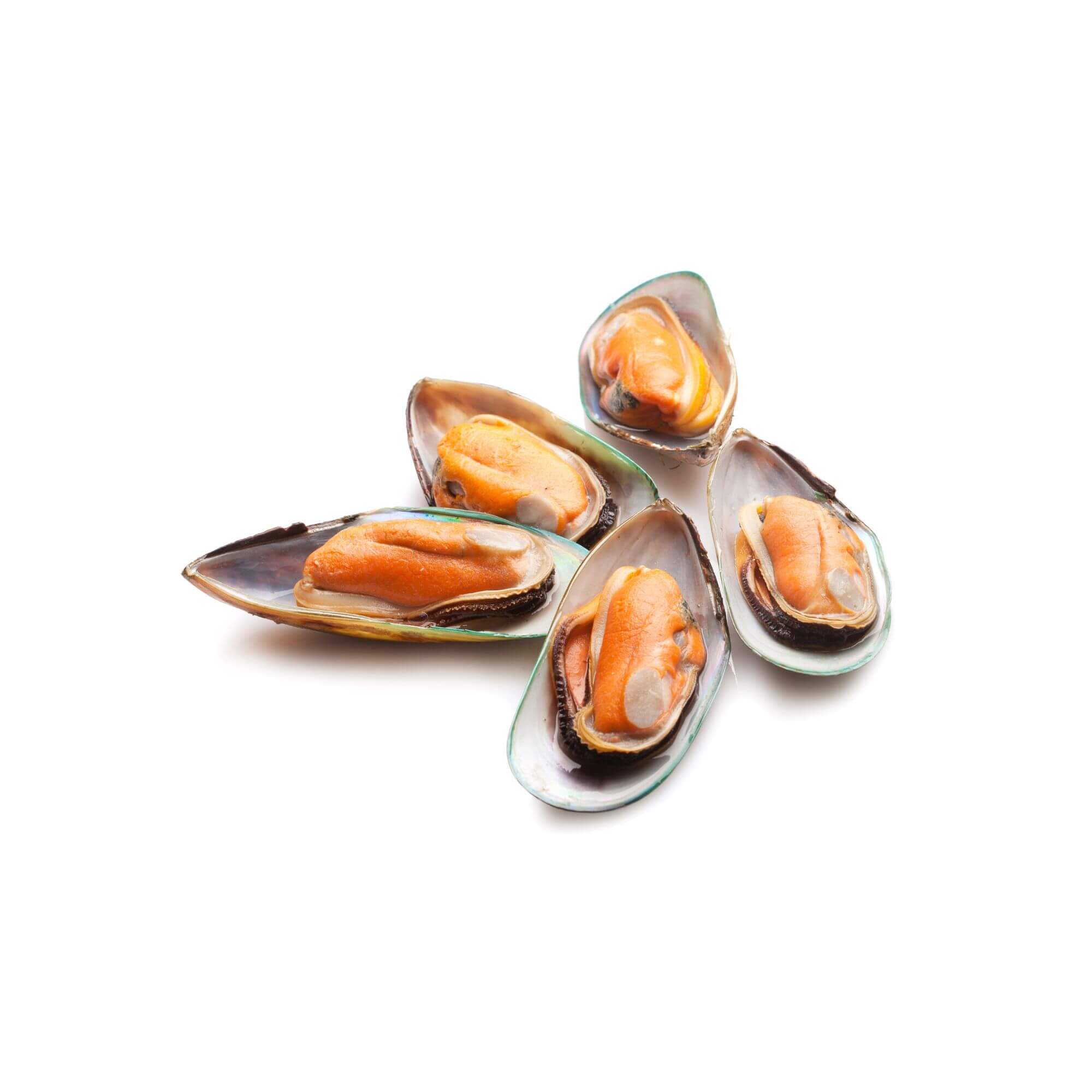 Half Shell Mussels
