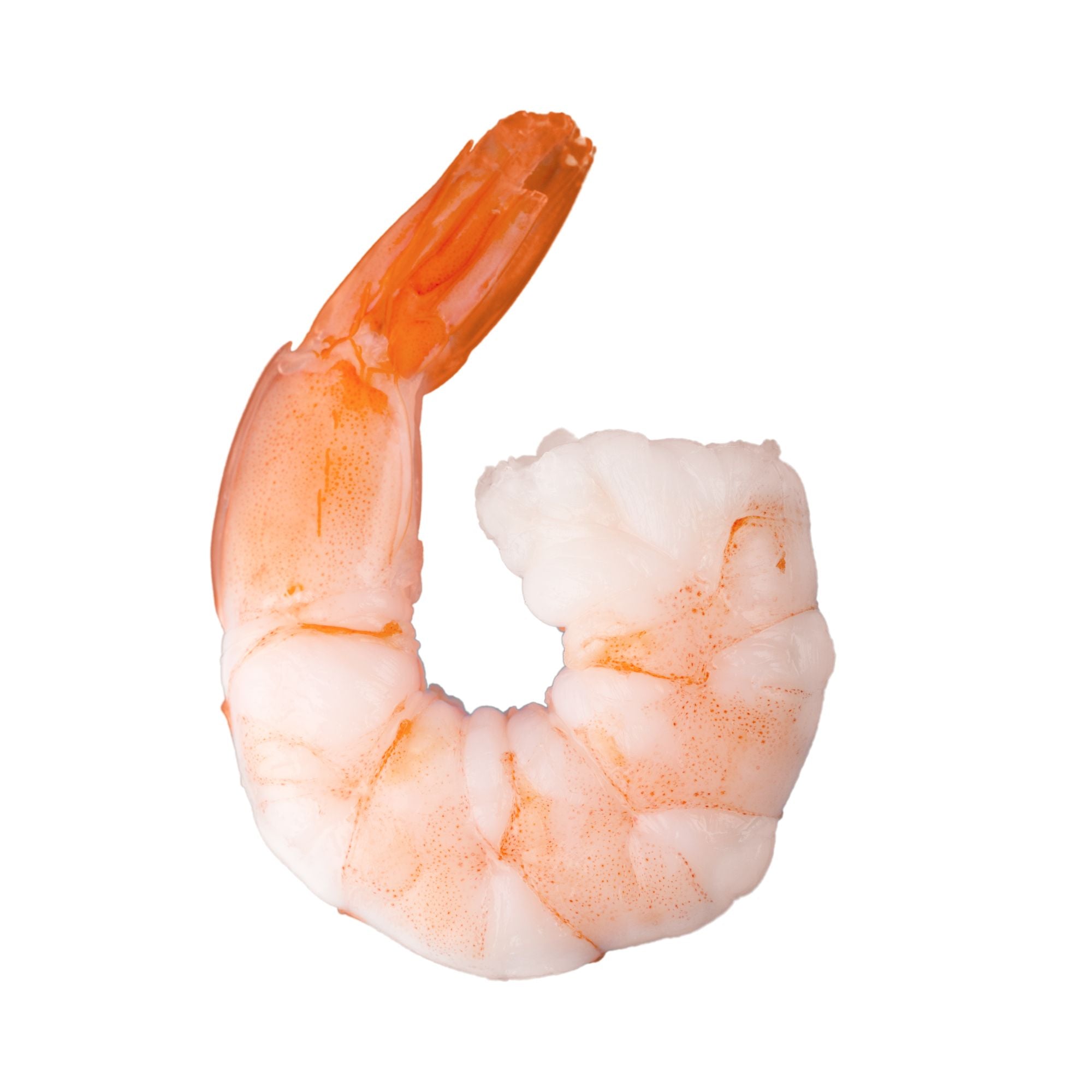 Large Peeled Shrimp Tail on