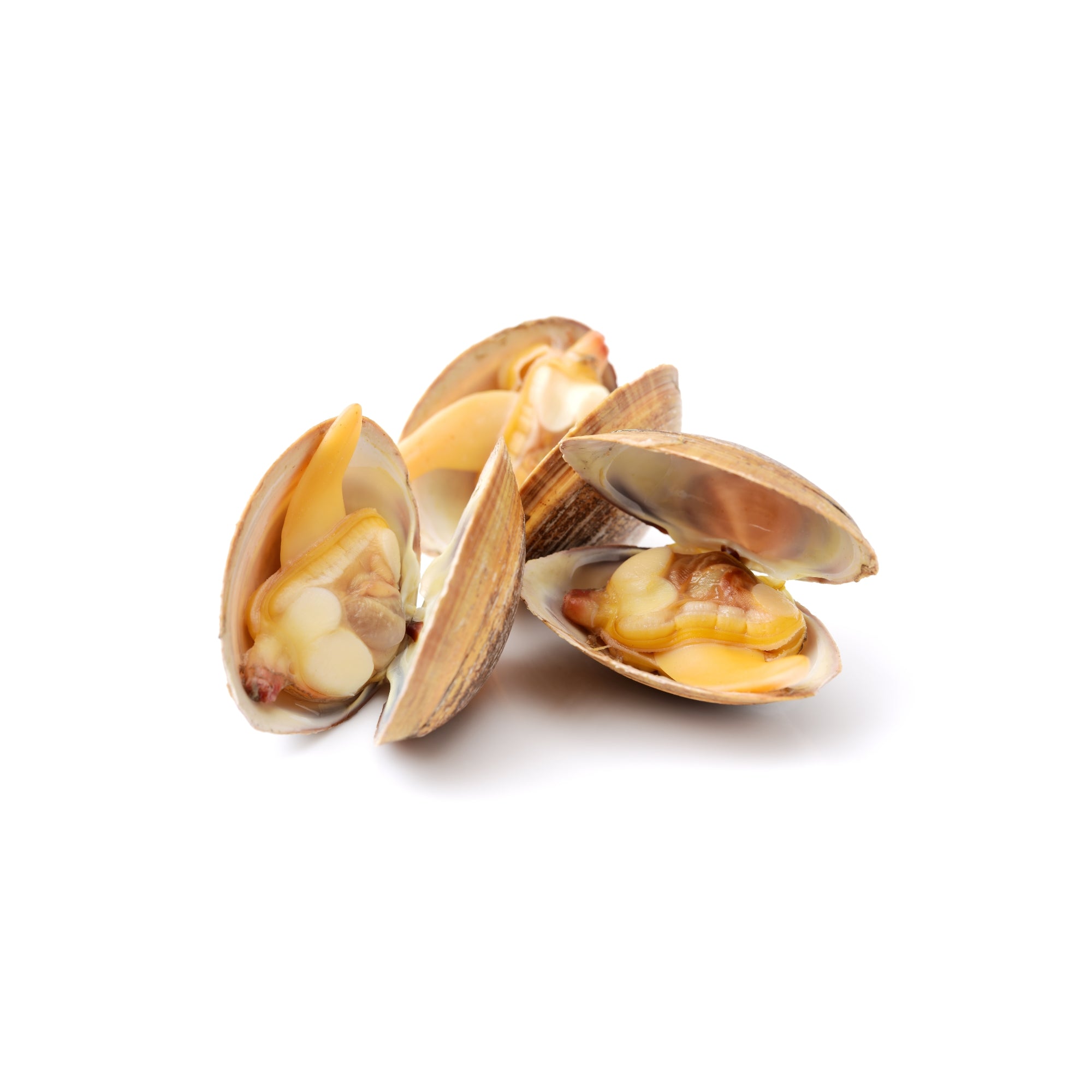 Clams 500gm