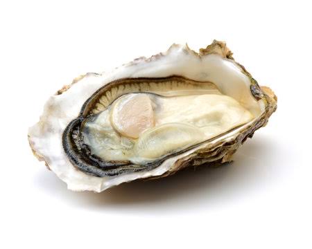 Whole Fresh Oyster