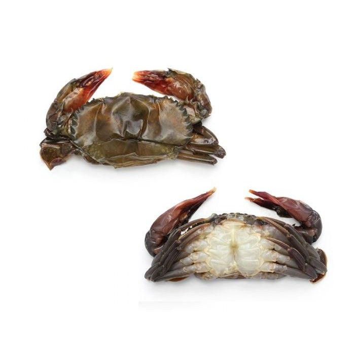 Soft Shell Crab