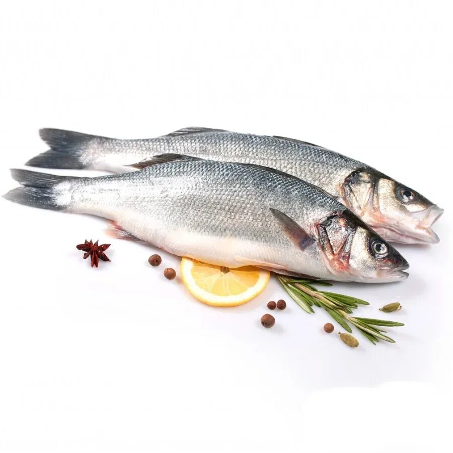 Whole Sea bass