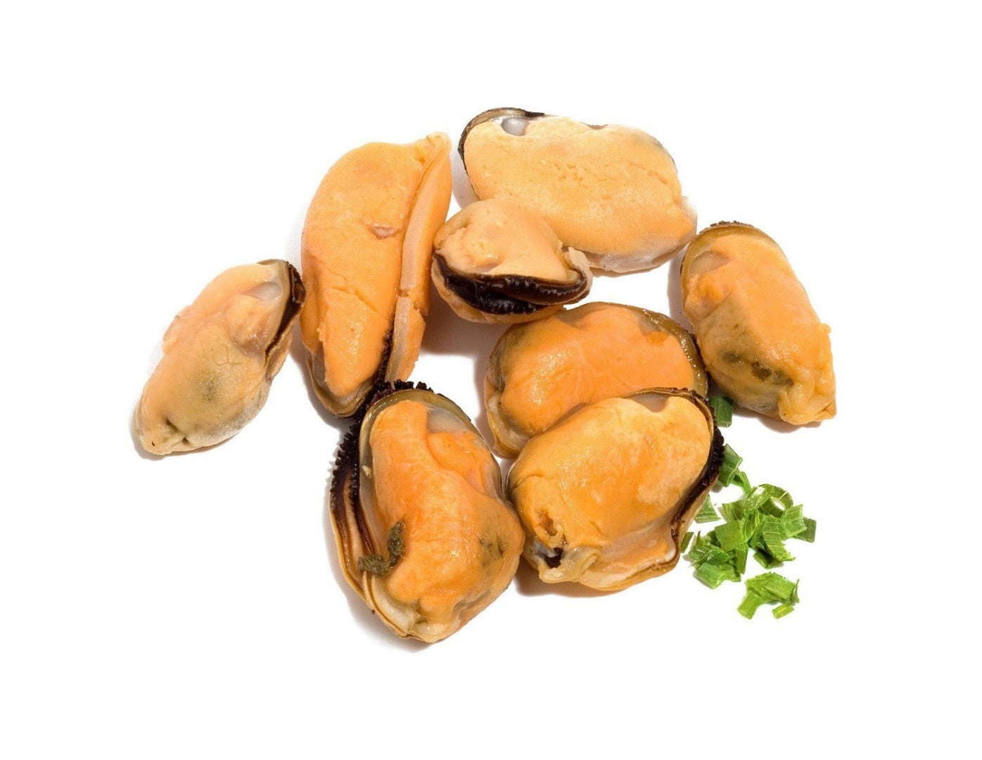 Mussels Meat 500gm