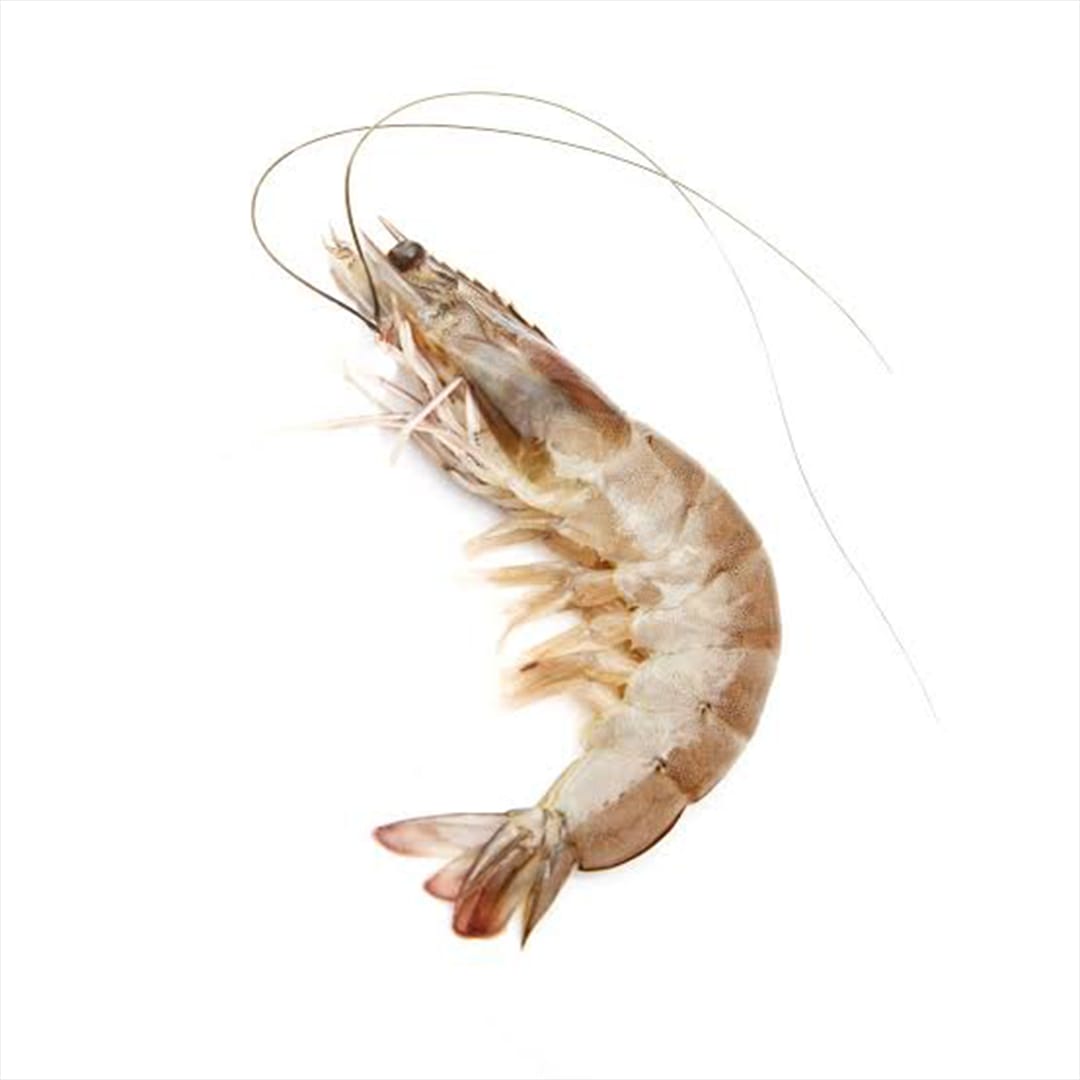 Large Shrimp - Shell on