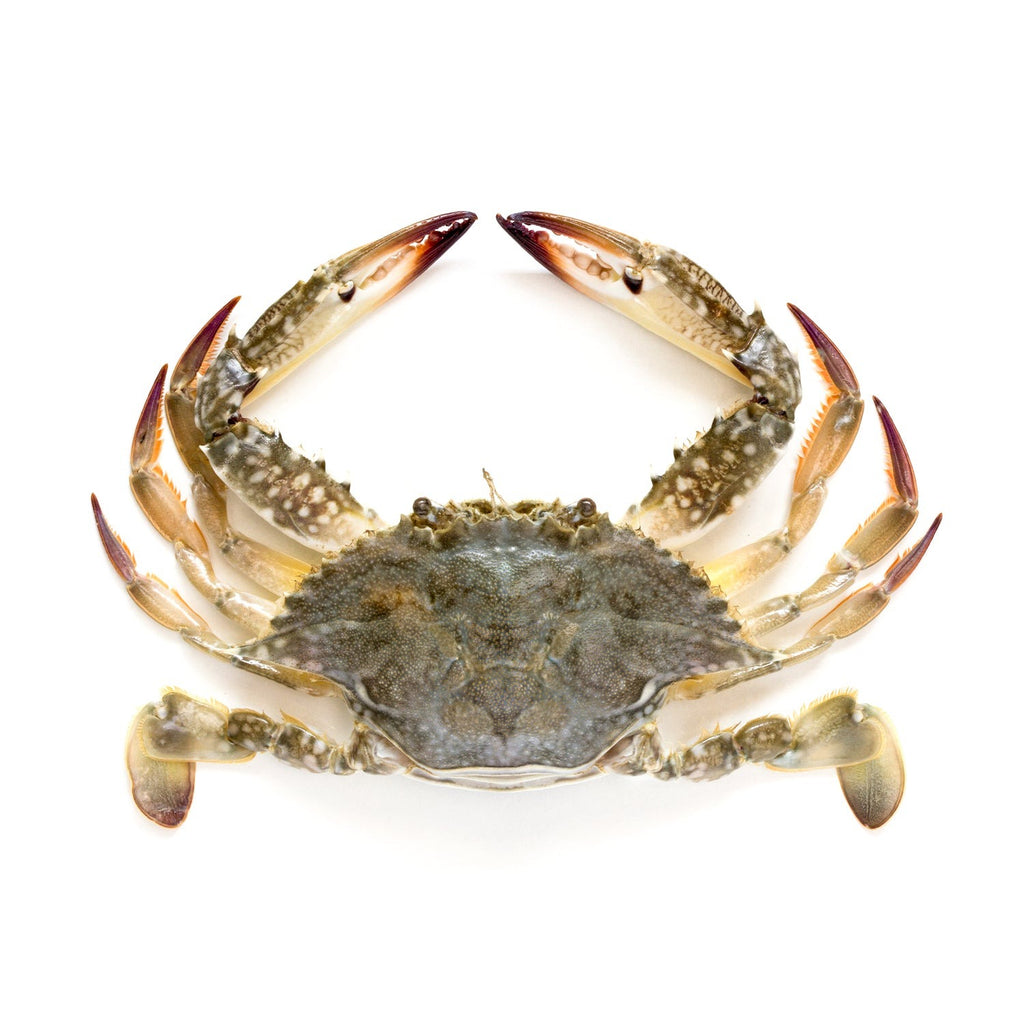 Crab 500gm