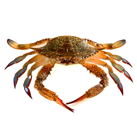Crab 1kg